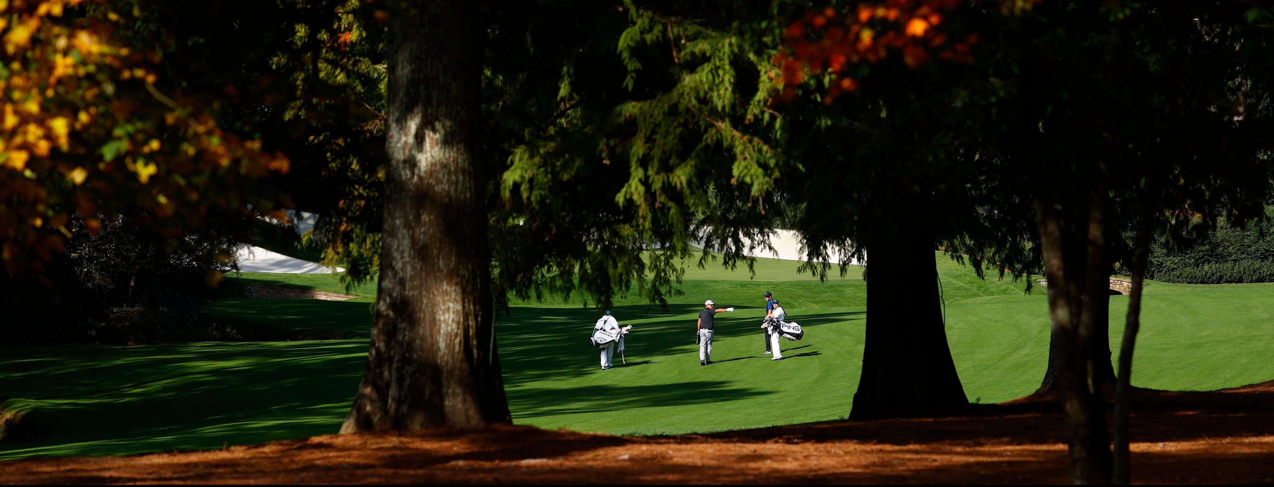  How COVID-19 created the most unique November sports weekend of all... Picture