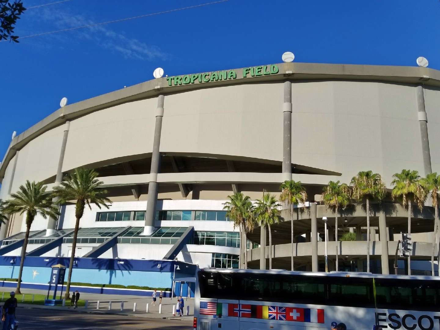 Tropicana Field